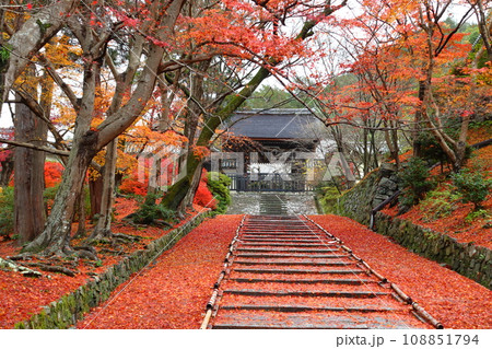 紅葉の毘沙門堂門跡にて（京都市山科区） 108851794