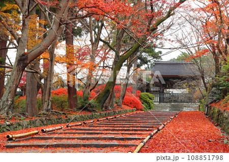 紅葉の毘沙門堂門跡にて(京都市山科区) 紅葉の毘沙門堂門跡にて(京都市山科区) 108851798