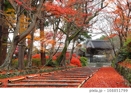 紅葉の毘沙門堂門跡にて(京都市山科区) 紅葉の毘沙門堂門跡にて(京都市山科区) 108851799