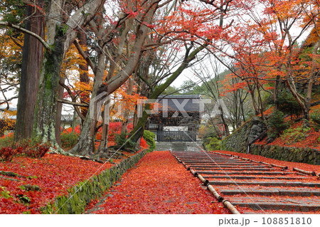 紅葉の毘沙門堂門跡にて（京都市山科区） 108851810