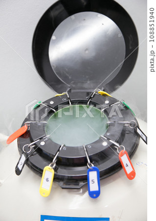 Sperm Freezing storage in liquid nitrogen tank, Laboratory infertility Sperm Freezing storage in liquid nitrogen tank, Laboratory infertility 108851940
