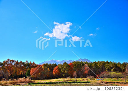 《長野県》紅葉の木曽町三岳から望む御岳山 《長野県》紅葉の木曽町三岳から望む御岳山 108852394