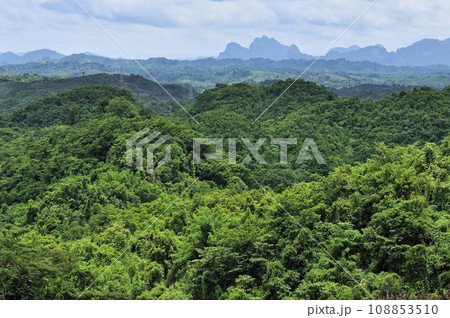 ラオス熱帯モンスーン林と岩峰 108853510