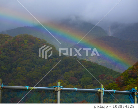 雨上がりの山に虹が出現(神奈川県足柄上郡) 雨上がりの山に虹が出現(神奈川県足柄上郡) 108854328