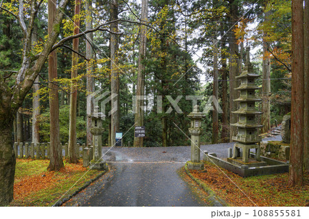 比叡山延暦寺　五重照隅塔 (西塔拝観入口)　紅葉の季節 108855581