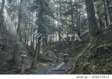 比叡山延暦寺 西塔から東塔へ至る土砂降りの参道 比叡山延暦寺 西塔から東塔へ至る土砂降りの参道 108855612