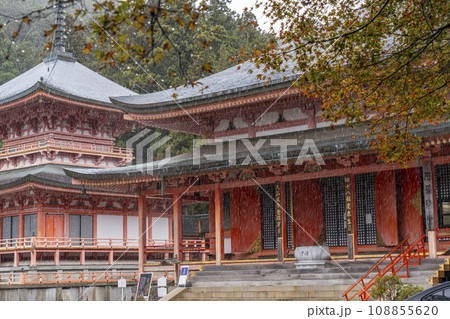 比叡山延暦寺東塔　秋の阿弥陀堂と法華総持院東塔　初雪の日 108855620