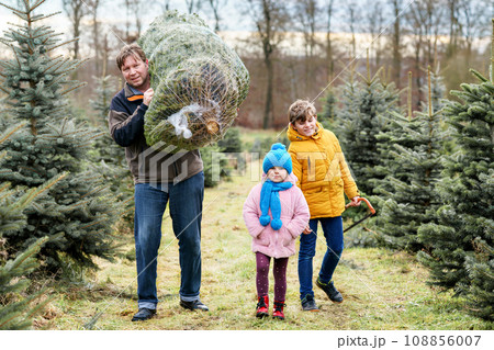 Happy family, man and two children with Christmas tree on fir tree cutting plantation. Preschool girl, kid boy and father choosing, cut and felling own xmas tree in forest, family tradition in Germany 108856007