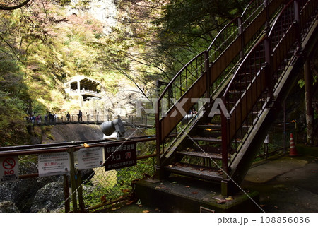 茨城県大子町　袋田の滝第2観瀑台とつり橋と袋田自然研究路入口 108856036