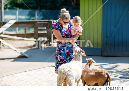 Adorable cute toddler girl and young mother feeding little goats and sheeps on kids farm. Beautiful baby child petting animals in petting zoo. Woman and daughter together on family weekend vacations 108856154