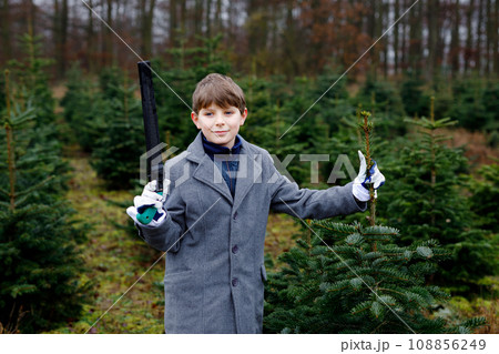 Adorable school kid boy with Christmas tree on fir tree cutting plantation . Happy child in winter fashion clothes choosing, cut and felling own xmas tree in forest, family tradition in Germany Adorable school kid boy with Christmas tree on fir tree cutting plantation . Happy child in winter fashion clothes choosing, cut and felling own xmas tree in forest, family tradition in Germany 108856249