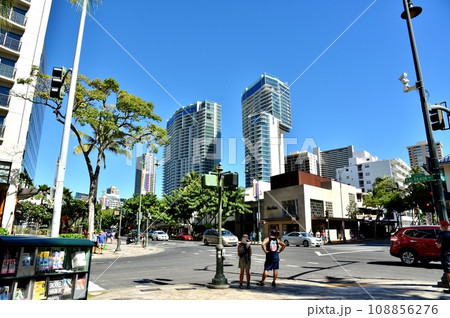 ハワイの休日 108856276