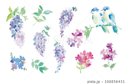 水彩で描いた藤の花や草花と鳥のイラスト素材セット 108856431