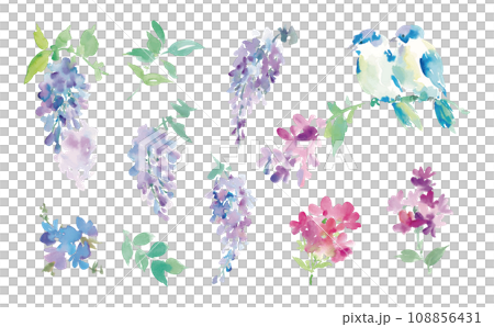 水彩で描いた藤の花や草花と鳥のイラスト素材セット 108856431
