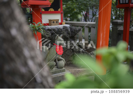 六本木　天祖神社境内　満福稲荷神社の狛狐　　東京都港区 108856939