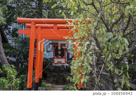 六本木　天祖神社境内の満福稲荷神社　　東京都港区 108856942