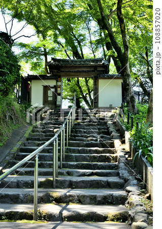 清閑寺(山門)　【京都府京都市東山区】 108857020