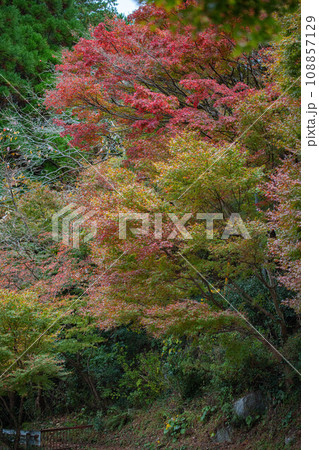 紅葉の風景 108857129