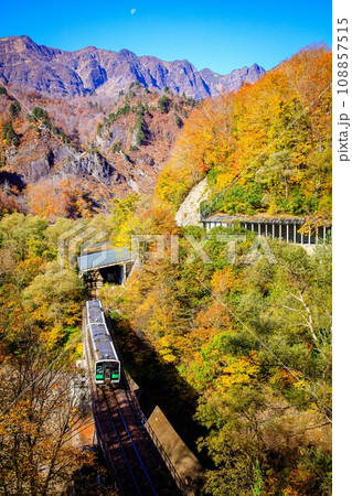 只見線　秋の余韻沢橋梁を渡る列車キハE120形(福島県只見町、11月上旬午前) 108857515