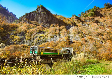 只見線 秋の六十里越トンネルに入る列車(福島県只見町、11月上旬午前) 只見線 秋の六十里越トンネルに入る列車(福島県只見町、11月上旬午前) 108857521