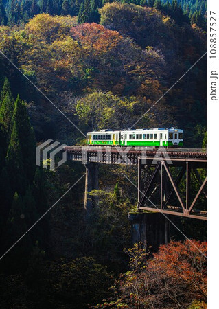 只見線 秋の滝谷川橋梁を渡る列車(福島県柳津町、11月上旬午後) 只見線 秋の滝谷川橋梁を渡る列車(福島県柳津町、11月上旬午後) 108857527