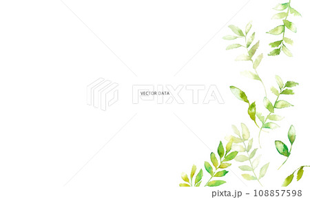 水彩画。水彩タッチの植物フレーム。草木のナチュラル装飾枠。ベクターイラスト。 108857598