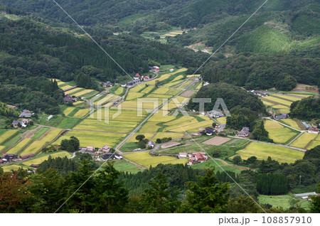 三河内の棚田　稲刈り前　三つ子山からの眺望秋　黄金の稲穂 108857910