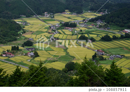 三河内の棚田 稲刈り前 三つ子山からの眺望秋 黄金の稲穂 三河内の棚田 稲刈り前 三つ子山からの眺望秋 黄金の稲穂 108857911