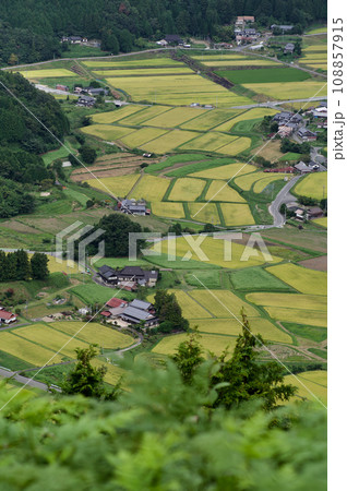 三河内の棚田　稲刈り前　三つ子山からの眺望秋　黄金の稲穂 108857915