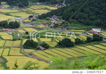 三河内の棚田 稲刈り前 三つ子山からの眺望秋 黄金の稲穂 三河内の棚田 稲刈り前 三つ子山からの眺望秋 黄金の稲穂 108857917