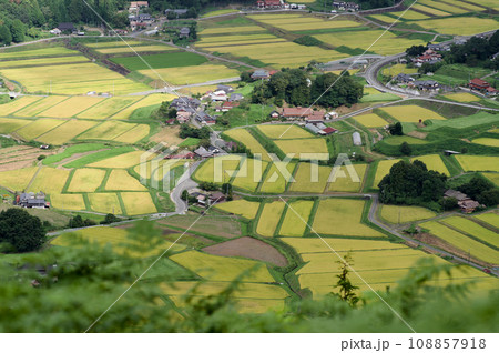 三河内の棚田 稲刈り前 三つ子山からの眺望秋 黄金の稲穂 三河内の棚田 稲刈り前 三つ子山からの眺望秋 黄金の稲穂 108857918