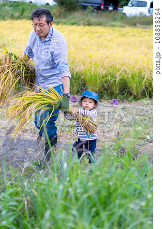 稲刈り体験をする親子 稲刈り体験をする親子 108858264