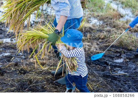 稲刈り体験をする親子 稲刈り体験をする親子 108858266