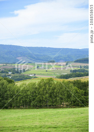 北海道 美瑛のパッチワークの丘 108858655