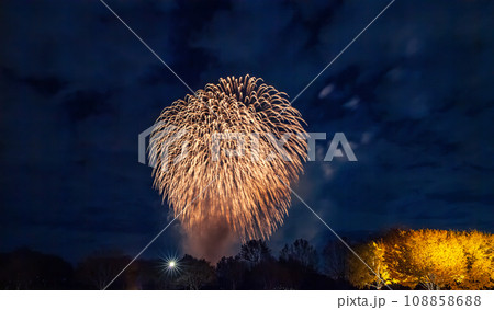 ライトアップのイチョウ並木と花火　昭和記念公園 108858688