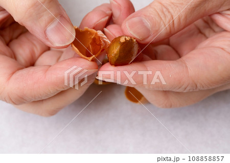 銀杏の殻をむく 銀杏の殻をむく 108858857