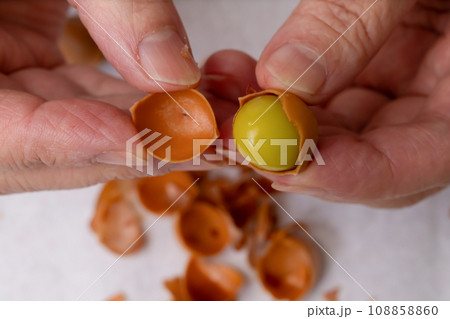 銀杏の殻をむく 108858860