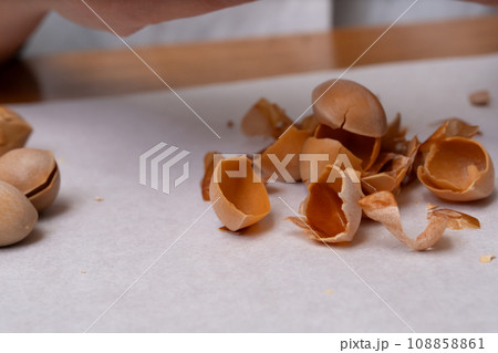 銀杏の殻をむく 108858861