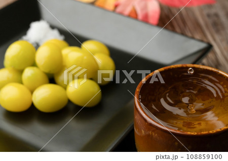 銀杏  日本酒 108859100