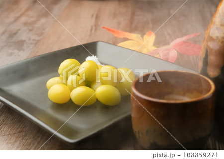 銀杏  日本酒 108859271