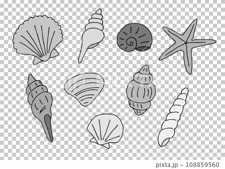 貝殼插圖集（手繪）灰階 108859560