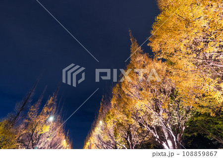 神宮外苑のライトアップされたイチョウ 東京夜景 神宮外苑のライトアップされたイチョウ 東京夜景 108859867