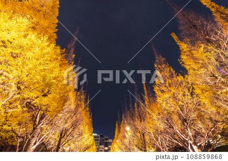 神宮外苑のライトアップされたイチョウ 東京夜景 神宮外苑のライトアップされたイチョウ 東京夜景 108859868