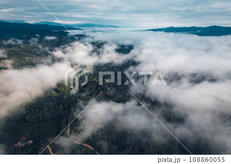 Morning fog and mountains in the forest 108860055