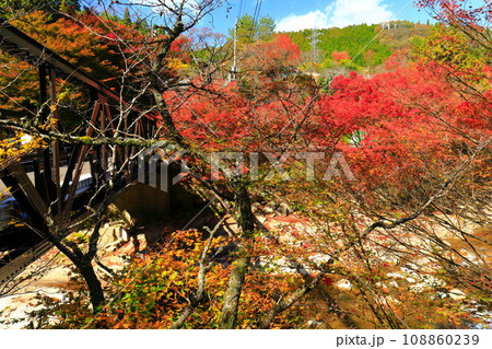 【岡山県】晴天の奥津渓の紅葉 【岡山県】晴天の奥津渓の紅葉 108860239