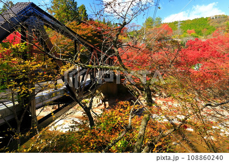 【岡山県】晴天の奥津渓の紅葉 【岡山県】晴天の奥津渓の紅葉 108860240