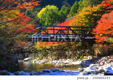 【岡山県】晴天の奥津渓の紅葉 108860243