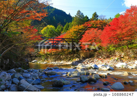 【岡山県】晴天の奥津渓の紅葉 【岡山県】晴天の奥津渓の紅葉 108860247