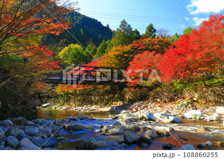 【岡山県】晴天の奥津渓の紅葉 【岡山県】晴天の奥津渓の紅葉 108860255
