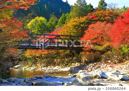 【岡山県】晴天の奥津渓の紅葉 108860264
